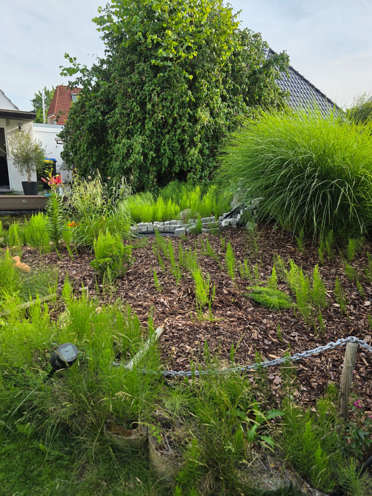 Garten mit Rasen von Casa Dienstleistungen