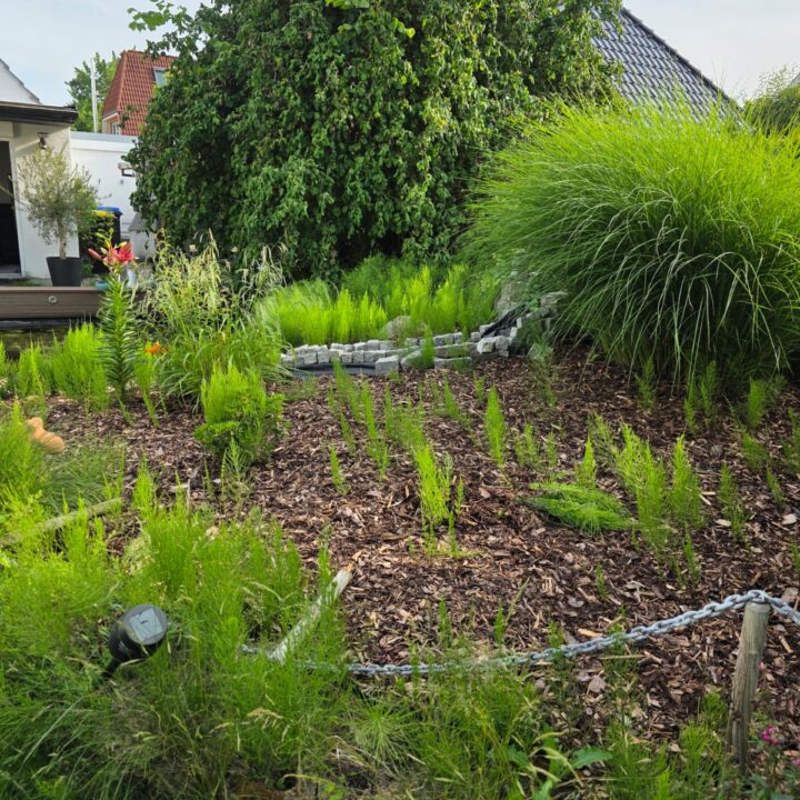Garten mit Rasen von Casa Dienstleistungen