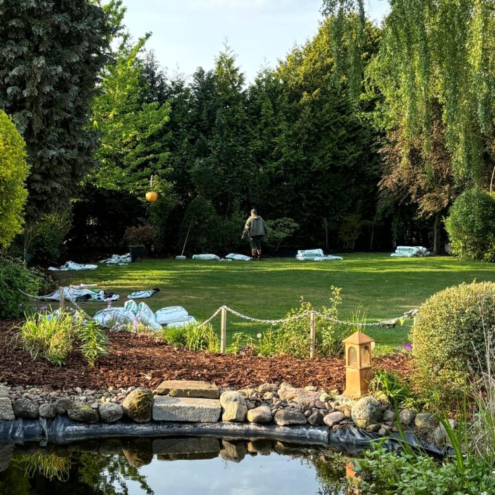 Hof mit Gartenarbeit und Teich, erstellt von Casa Dienstleistungen.
